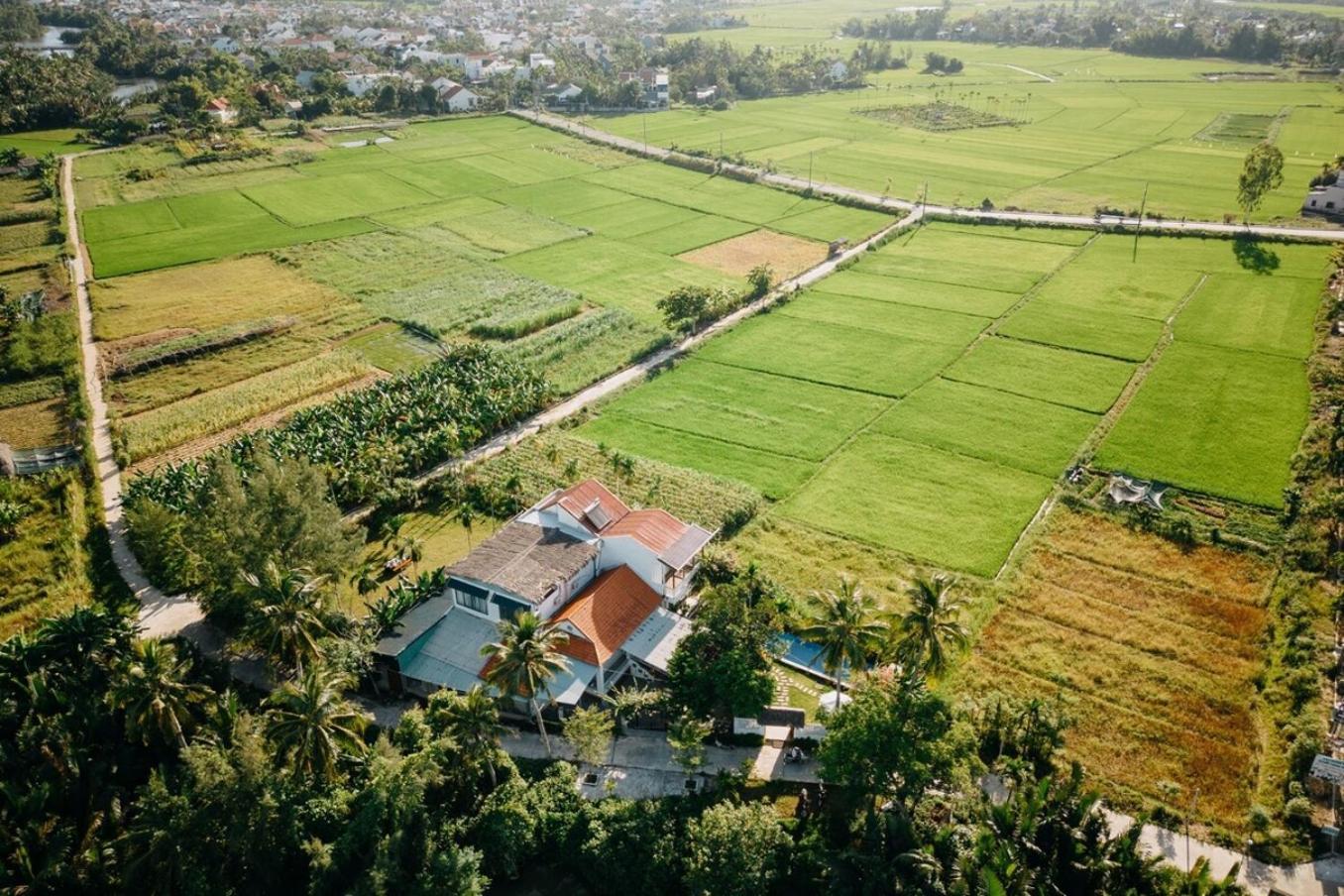 Bong Villa Hoi An - Vesta Collections Eksteriør billede